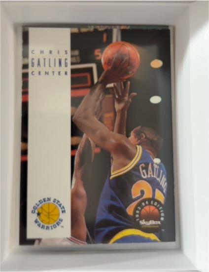 1993-94 SkyBox Premium #223 Chris Gatling — front