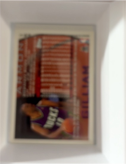 1996-97 Topps Chrome #169 Armon Gilliam — front