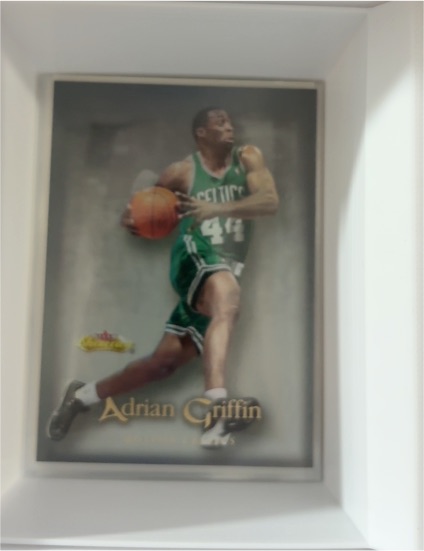 2000-01 Fleer Showcase #14 Adrian Griffin — front