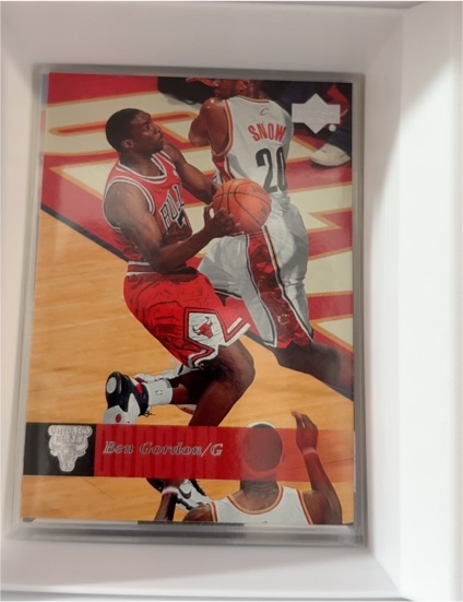 2006-07 Upper Deck #25 Ben Gordon — front
