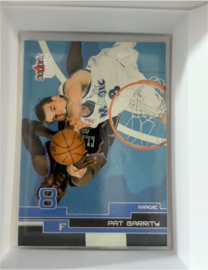 2002-03 Fleer Ultra #8 Pat Garrity — front