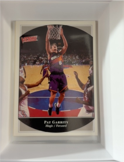 1999-00 Upper Deck Victory #204 Pat Garrity — front