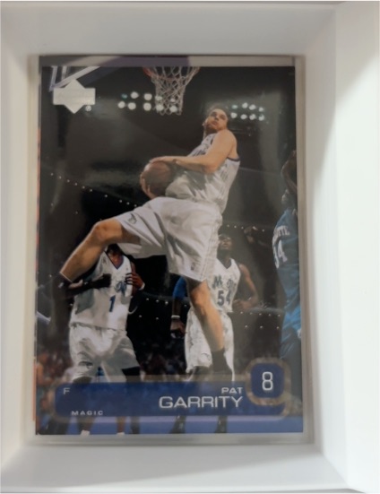 2002-03 Upper Deck #121 Pat Garrity — front