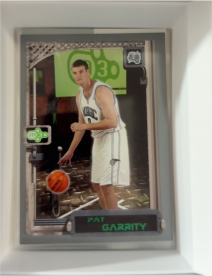2003-04 Topps Rookie Matrix #109 Pat Garrity — front