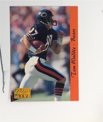1993 Classic Pro Line Live #29 Tom Waddle — front