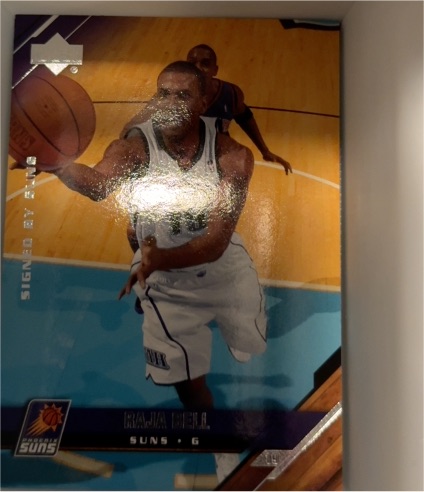 2006-07 Upper Deck #48 Raja Bell — front