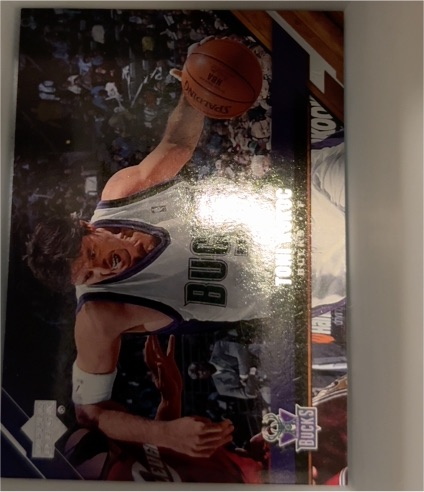 1993-94 Upper Deck Special Edition #183 Toni Kukoc — front
