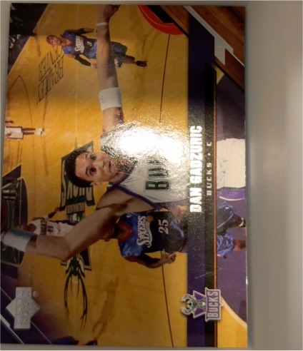 2005-06 Upper Deck #105 Dan Gadzuric — front