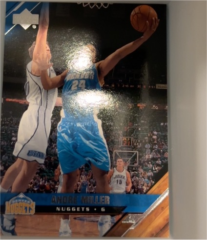 2005-06 Upper Deck #43 Andre Miller — front