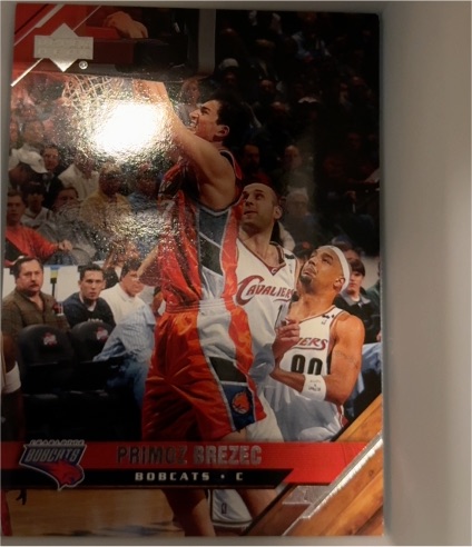 2005-06 Upper Deck #15 Primoz Brezec — front