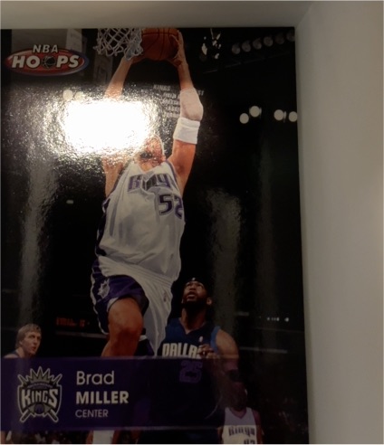 2004-05 NBA Hoops #53 Brad Miller — front