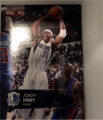 2005-06 NBA Hoops #27 Jason Terry — front