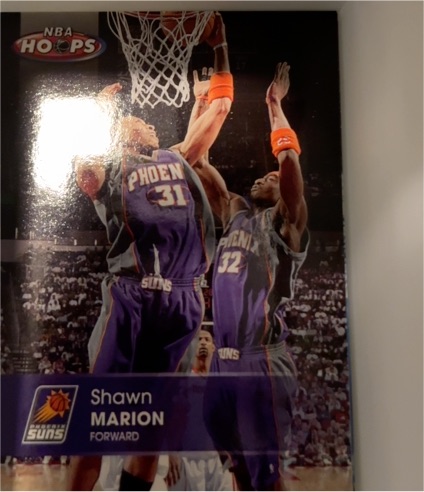 2005-06 NBA Hoops #106 Shawn Marion — front