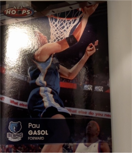 2007-08 NBA Hoops #16 Pau Gasol — front