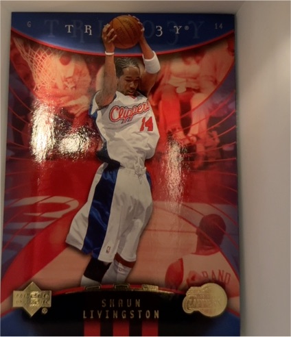 2005 Upper Deck Trilogy The Cutting Edge #SL Shaun Livingston — front