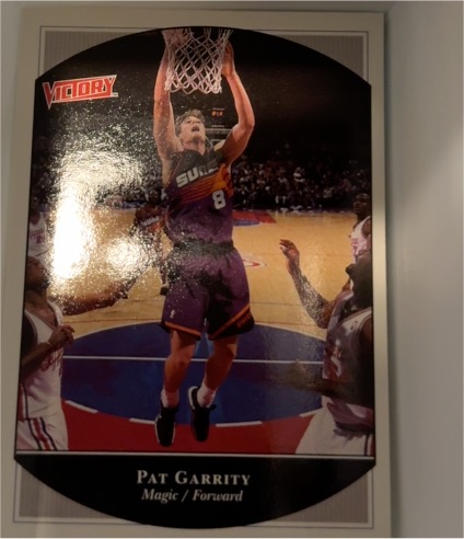 1999-00 Upper Deck Victory #204 Pat Garrity — front