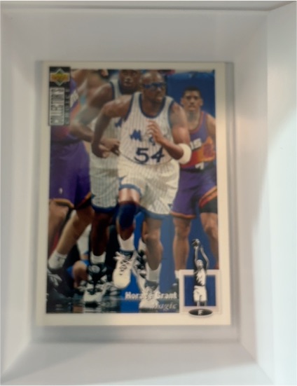 1994-95 Upper Deck Collector's Choice #354 Horace Grant — front