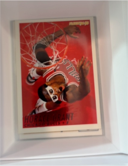 1994-95 Fleer #30 Horace Grant — front