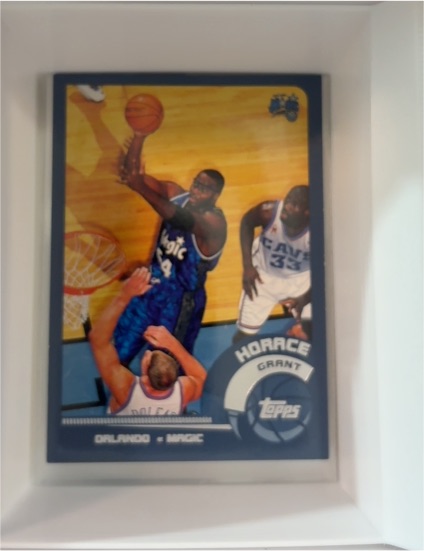 2002-03 Topps #39 Horace Grant — front
