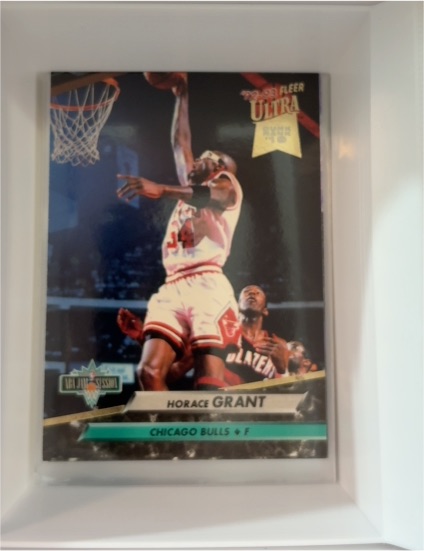 1992-93 Fleer Ultra #219 Horace Grant — front