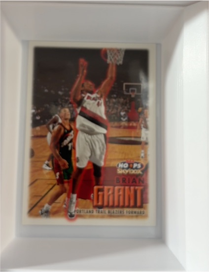 1999-00 Skybox NBA Hoops #77 Brian Grant — front