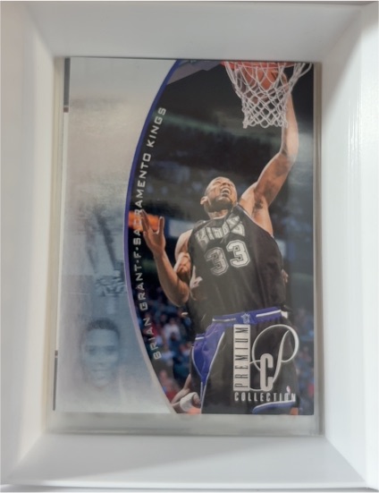 1994-95 Upper Deck SP Premium Collection #PC20 Brian Grant — front