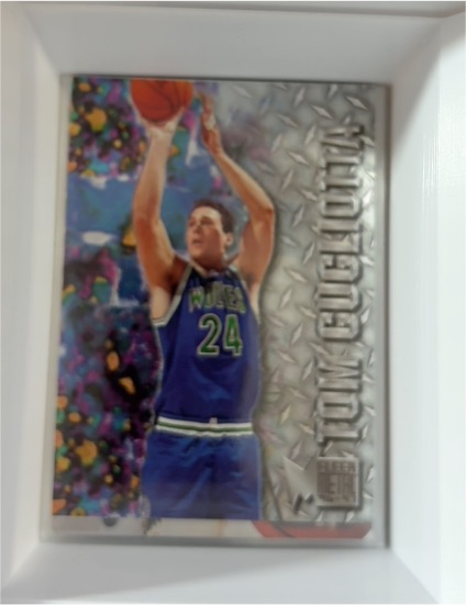 1996-97 Fleer Metal #59 Tom Gugliotta — front