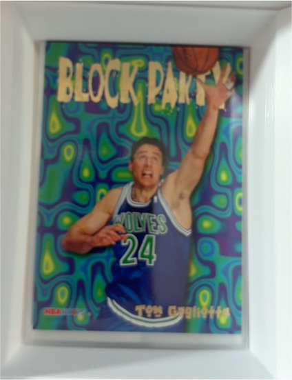 1995-96 SkyBox NBA Hoops #18 Tom Gugliotta Block Party — front