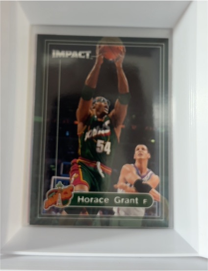 1999-00 SkyBox Impact #72 Horace Grant — front