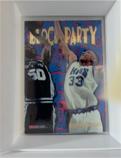 1995-96 NBA Hoops #6 Brian Grant Block Party — front