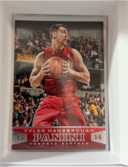2013-14 Panini #14 Tyler Hansbrough — front