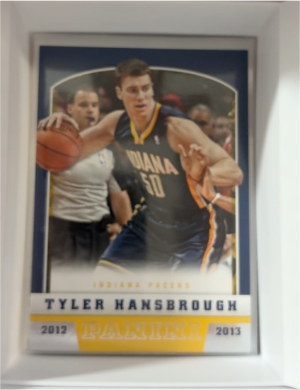 2012-13 Panini #167 Tyler Hansbrough — front