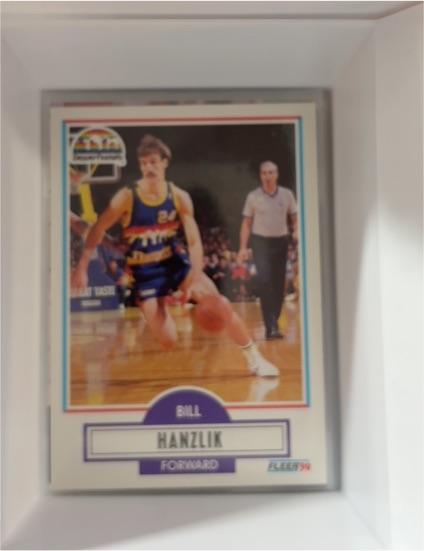 1990-91 Fleer #49 Bill Hanzlik — front