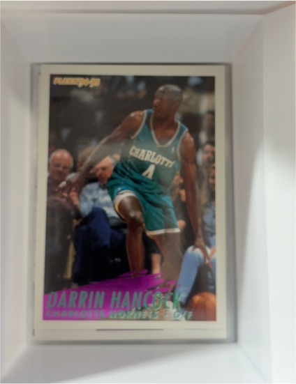 1994-95 Fleer #255 Darrin Hancock — front