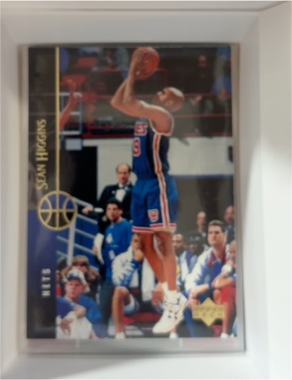 1994-95 Upper Deck #205 Sean Higgins — front