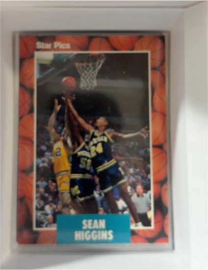 1990 Star Pics #14 Sean Higgins — front