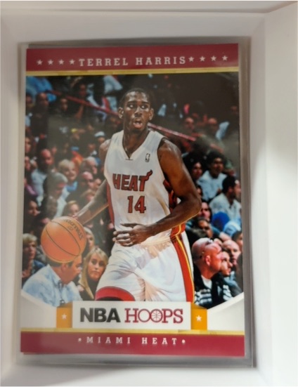 2012-13 Panini NBA Hoops #264 Terrel Harris — front