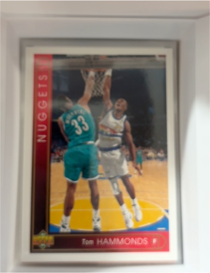 1993-94 Upper Deck #102 Tom Hammonds Denver Nuggets — front