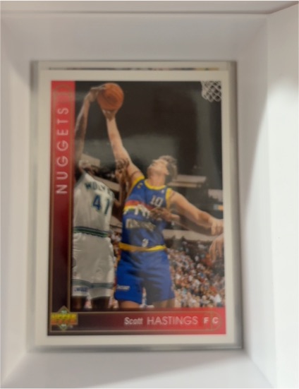 1993-94 Upper Deck #88 Scott Hastings — front