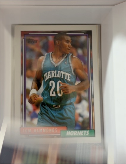 1992-93 Topps #318 Tom Hammonds — front