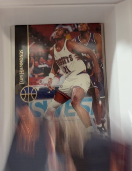 1994-95 Upper Deck #113 Tom Hammonds — front