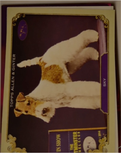 2024 Topps Allen & Ginter #SOS-19 Sky — front
