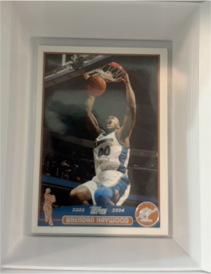 2003-04 Topps #112 Brendan Haywood — front