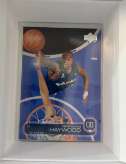 2002-03 Upper Deck #176 Brendan Haywood — front