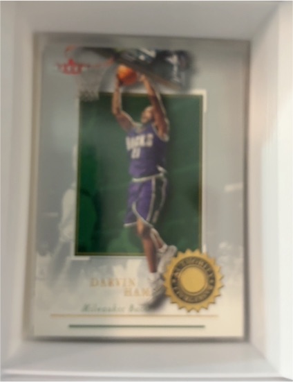 2000-01 Fleer Authority #38 Darvin Ham — front