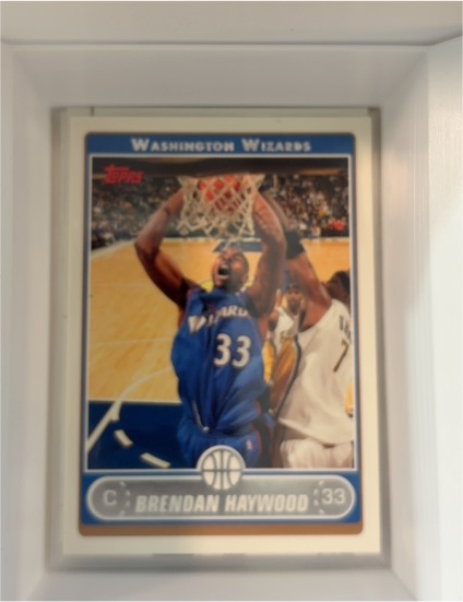 2006 Topps #73 Brendan Haywood — front
