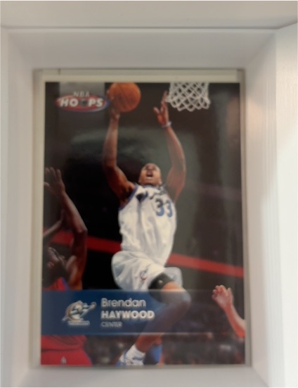 2006 NBA Hoops #33 Brendan Haywood — front