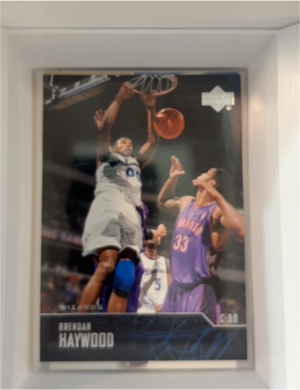 2003-04 Upper Deck #291 Brendan Haywood — front