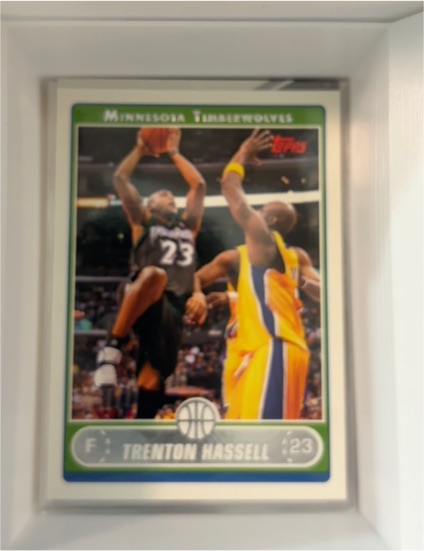 2006-07 Topps #174 Trenton Hassell — front