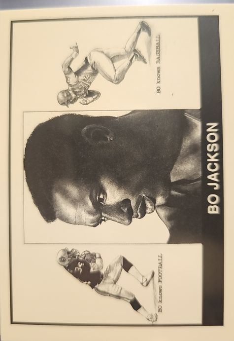 1990 Oddball Bo Jackson Bo Knows Baseball Football Promo Card — front